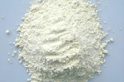 Garlic powder 60mesh